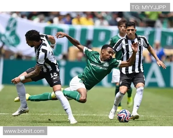 巴竞技主场迎战巴西国际期待一场精彩的巴甲对决