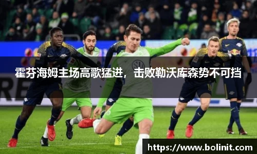 乐鱼电子