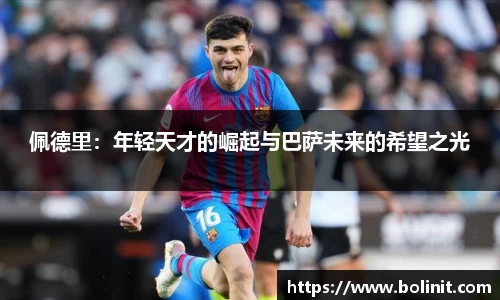乐鱼电子官方网站